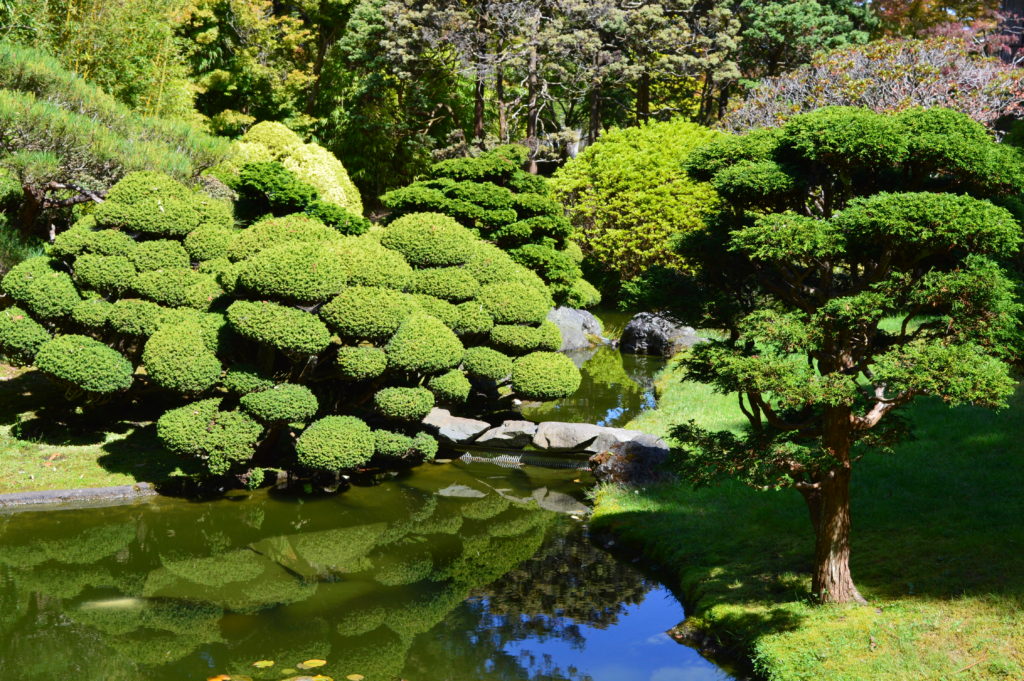 Japanese Garden, San Francisco
