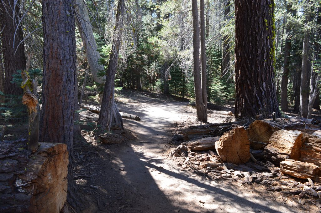 Route to Taft Point Yosemite