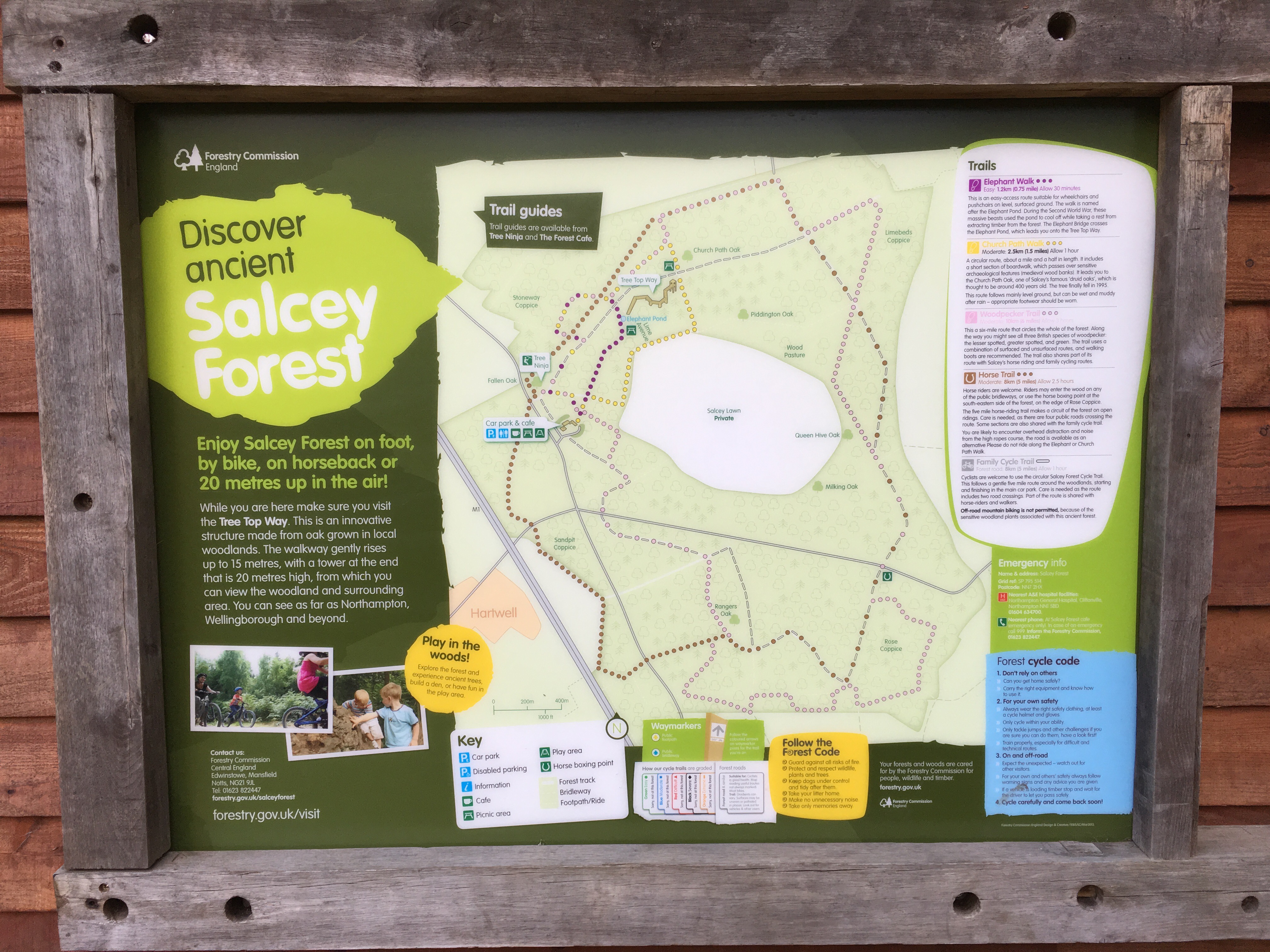 Salcey Forest Walking Trails