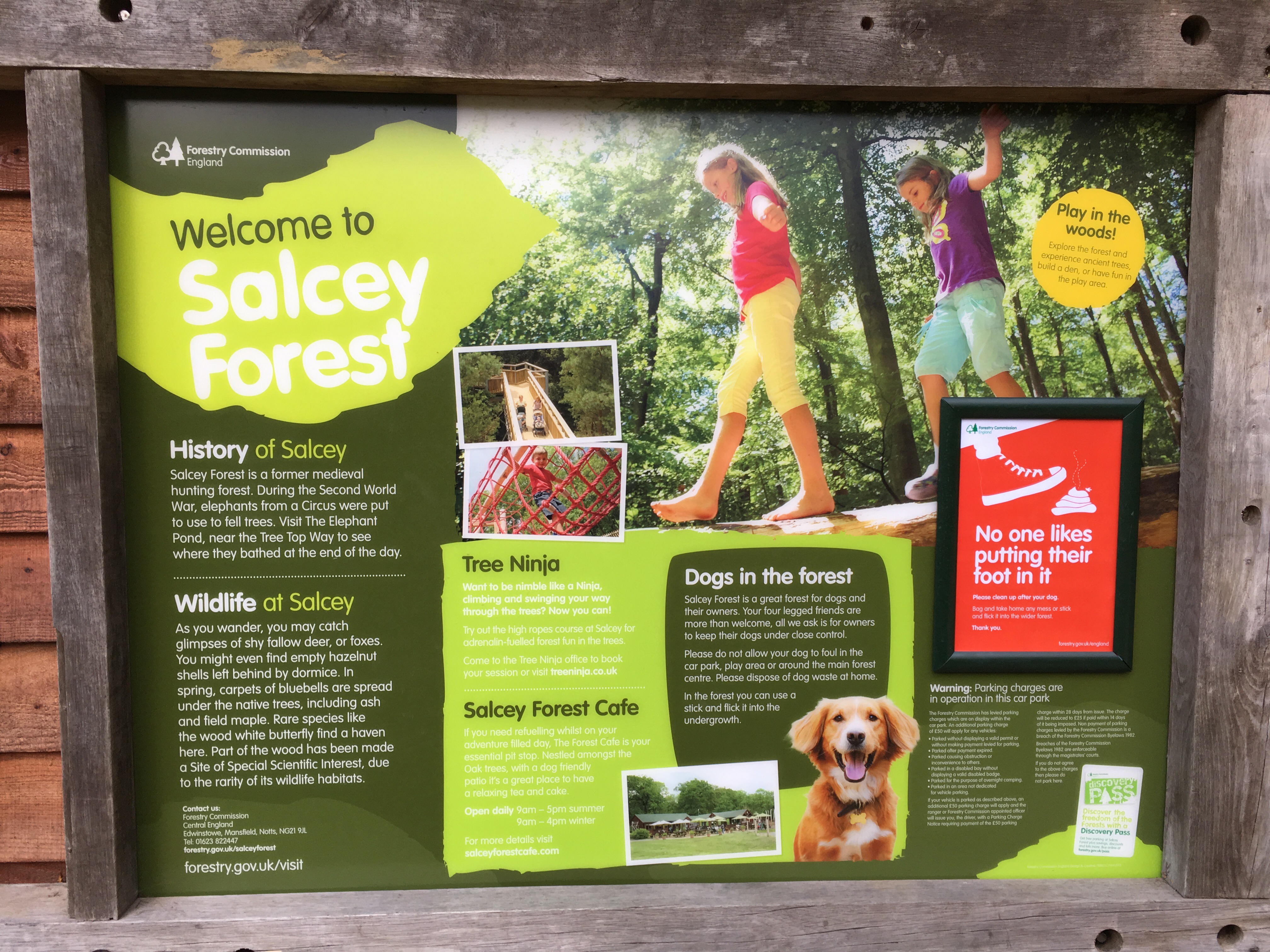 Salcey Forest information board